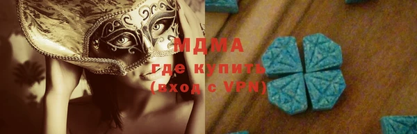 индика Губаха
