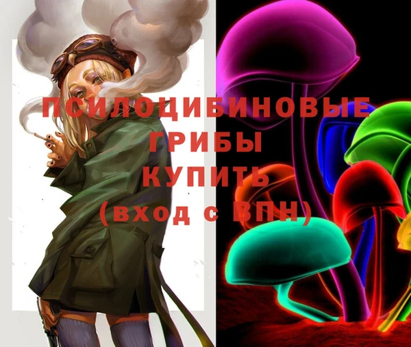 бутират Коряжма