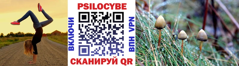 Псилоцибиновые грибы мицелий  маркетплейс как зайти  Колпашево 